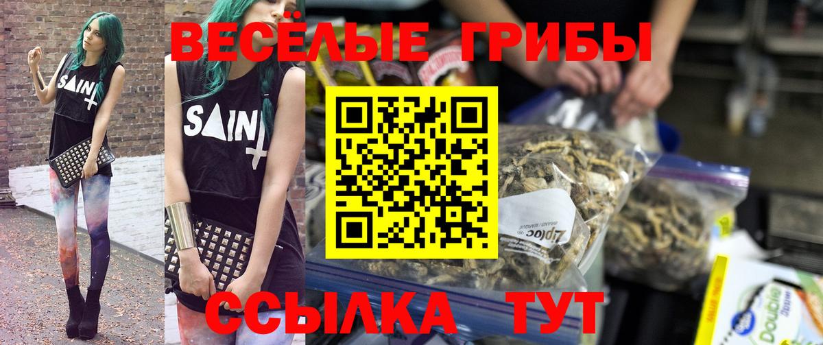 Галлюциногенные грибы Psilocybe Кохма