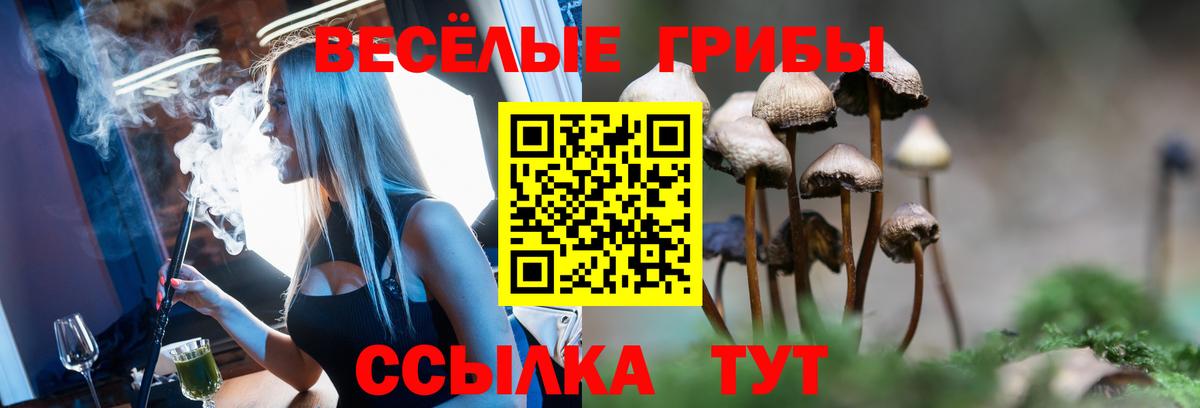 Псилоцибиновые грибы мухоморы  Вход с VPN  Кохма 
